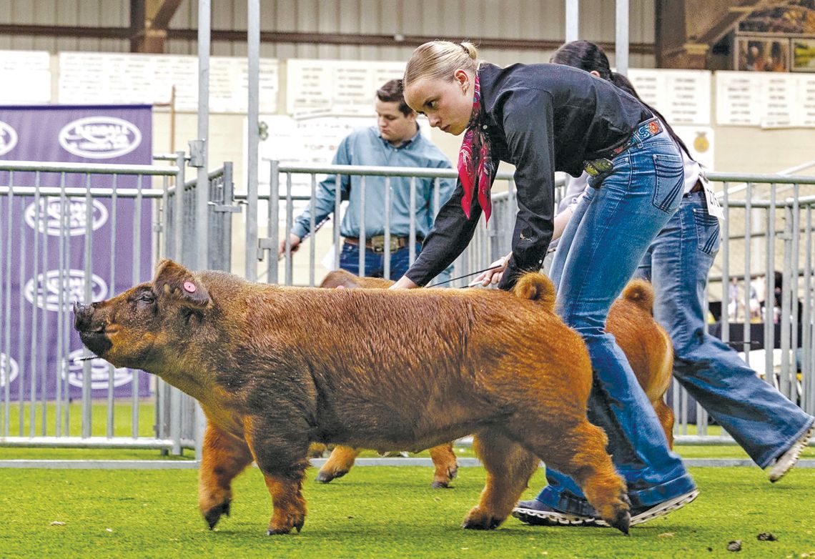 Reserving her best for the judges Reserving her best for the judges