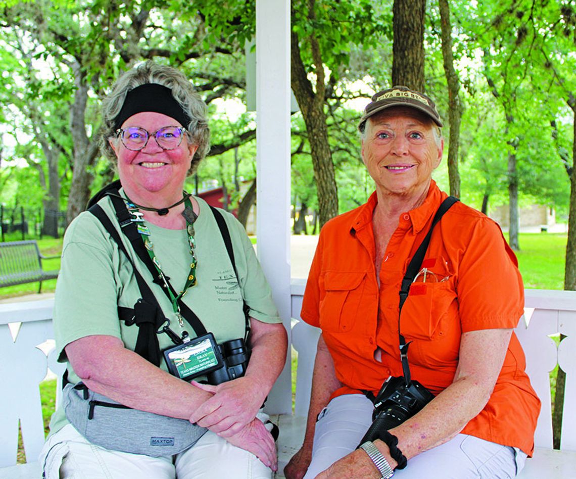 San Antonio region leads nation in City Nature Challenge