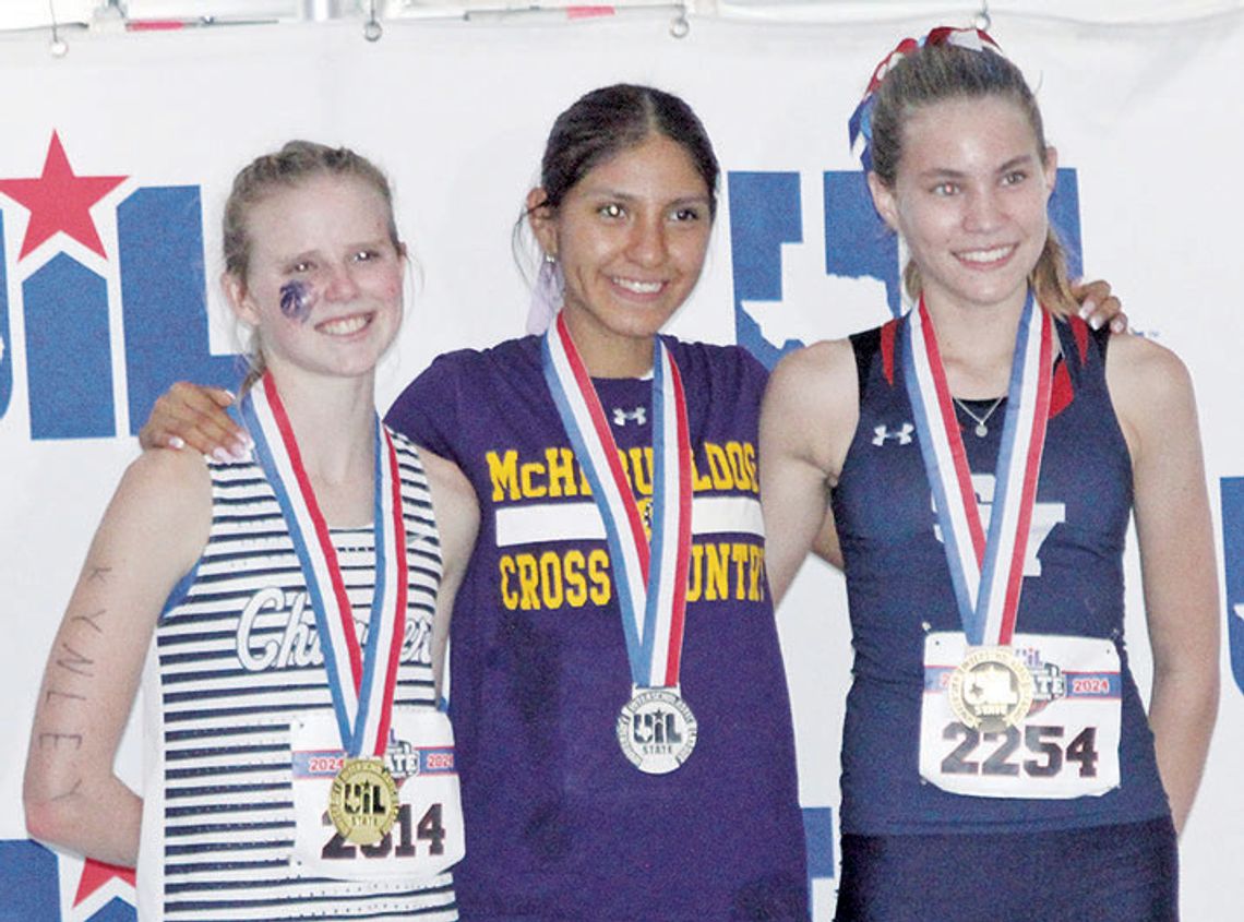 Several area cross country teams shine at UIL state meet