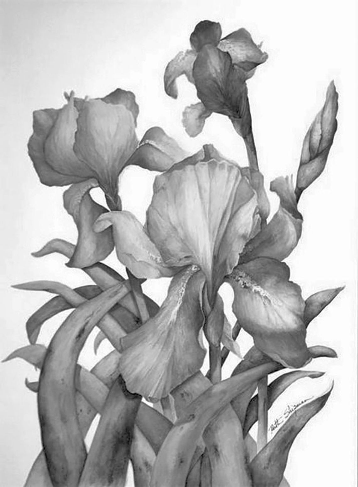 Shipman earns ‘Artist of Month’ honors