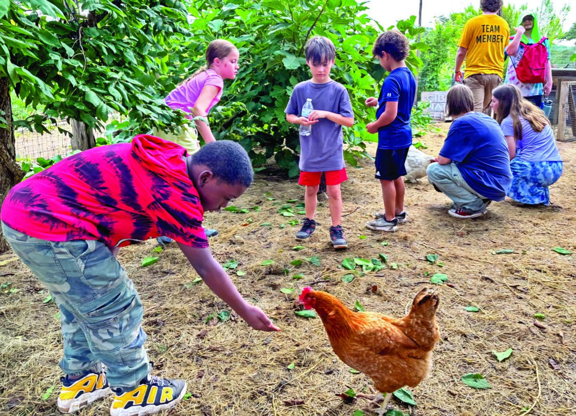 The Cibolo summer camps stress nature, art