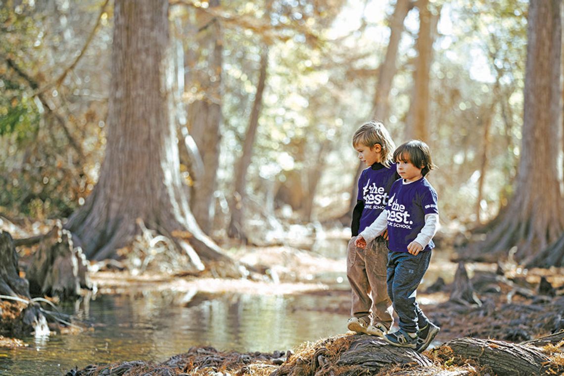 The Nest: Nature education, today