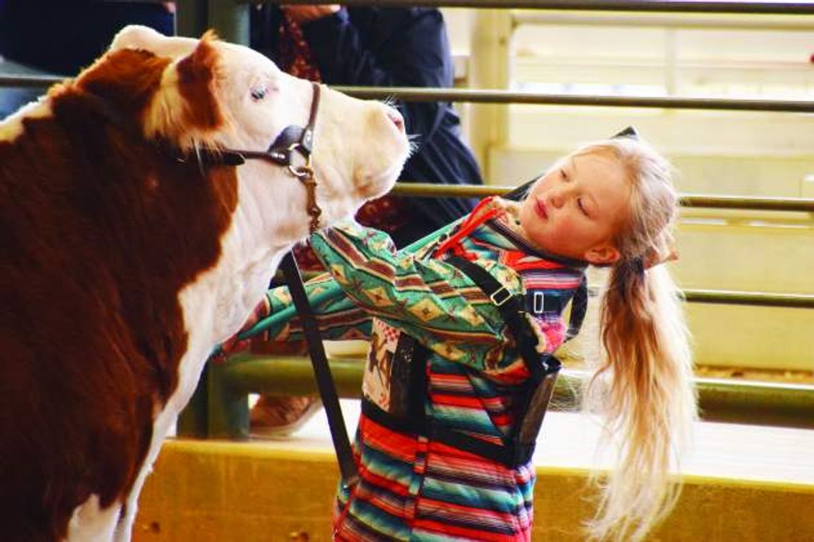 Youth livestock sale nets record