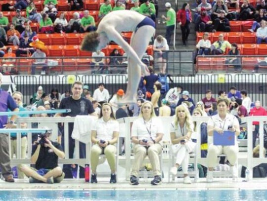 Colin Breuer represented the Chargers boys team in diving at this year’s state meet.