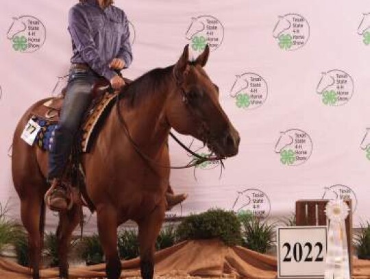 Anna Beth Muck is all smiles as placed fourth at the 2022 Texas State 4-H Horse Show. Muck graduated earlier this year and now attends Texas A&amp;M and qualified for the A&M Ranch Horse Team. Submitted photo.