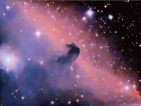 Horsehead nebula taken by Jack Estes.