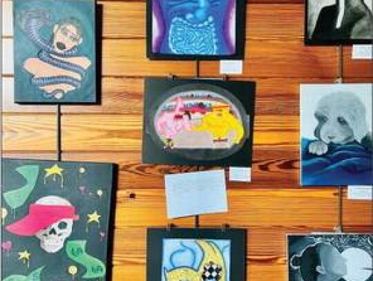 The library’s partnership with Boerne Independent School District to display students’ art during the month of April, has once again amazed hundreds of library visitors. The art was creative, sophisticated, and beautiful.