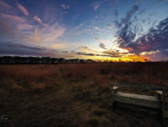 Photo courtesy of the Cibolo Center for Conservation.