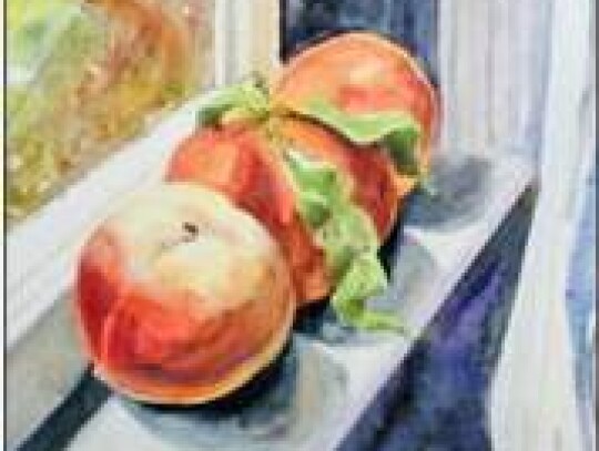 Maren Phillips, “Peaches”, HCCArts Mini Workshop: Introduction to Watercolor at The Classroom at the AgriCultural Museum and Arts Center, July 10. Register today www. HCCArts.org.