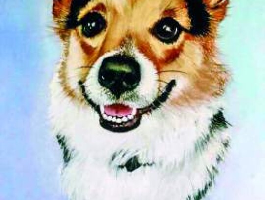 HCCArts Classroom at the Agri-Cultural Museum and Arts Center presents introductory immersion to pastel painting, with Artist, Mary McIntosh. Saturday, August 12. HCCArts Classroom at the Agri-Cultural Museum and Arts Center presents introductory immersion to pastel painting, with Artist, Mary McIntosh. Saturday, August 12.