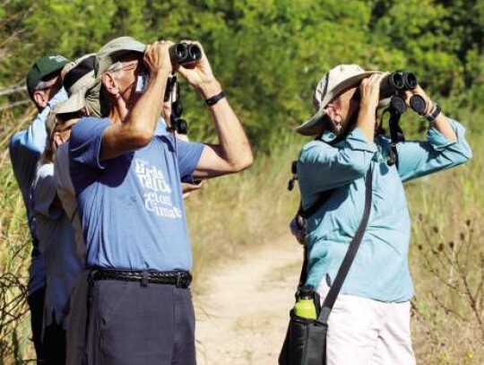 Tom Inglet (front), Linda Ray Myers (right) and the rest of the bird survey group focus on a pair of birds observed Monday.