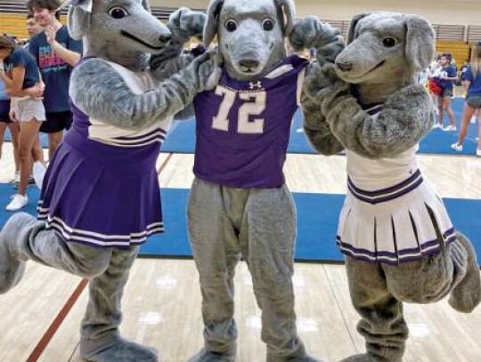 Mascots are Little Roxy, Rowdy and Roxy.